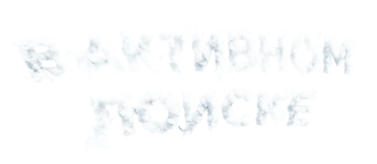 В активном поиске